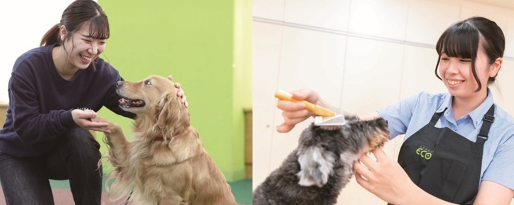 動物（犬）飼育アシスタント（仙台ECO動物海洋専門学校） | 滋慶学園グループ