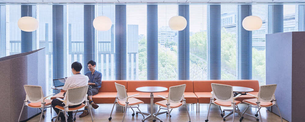 海外環境エネルギー事業展開コンサルティング | 株式会社三菱総合研究所