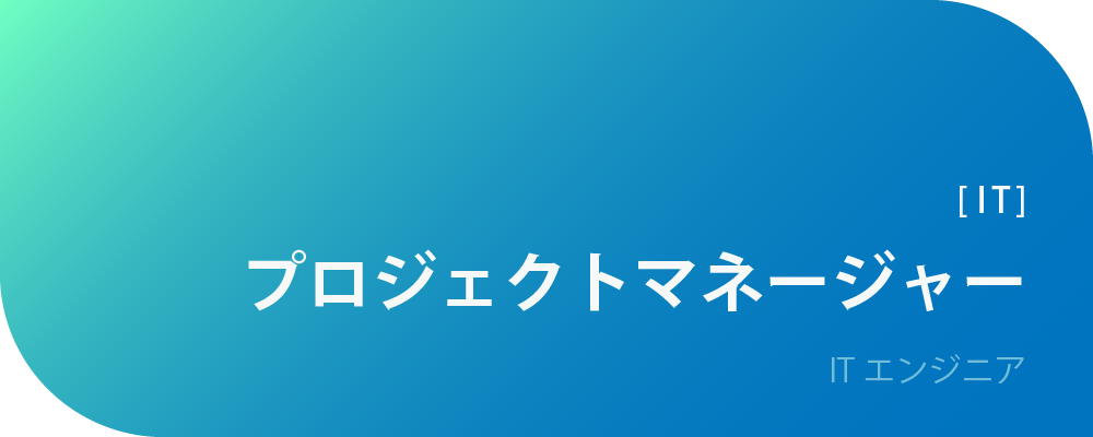 プロジェクトマネージャー（IT) | 株式会社ボルテックス