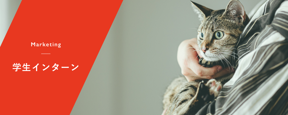 【学生インターン】猫向けプロダクト「ミャオグルメ」のWebマーケティング | 株式会社バイオフィリア