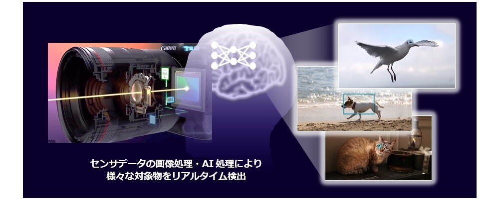 AI・信号処理開発者（エッジAI・インテリジェントセンサ・スマートファクトリ） | キヤノン株式会社