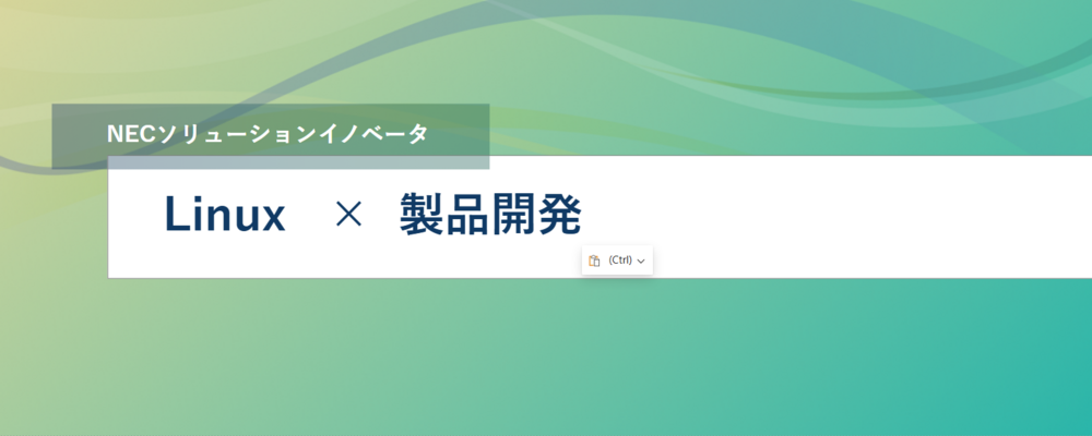 [TS29]＜リーダー候補／神戸勤務 l リモート可＞Linuxの製品化をリードする技術者の募集 l Linux技術のエキスパートを目指せます | NECソリューションイノベータ株式会社