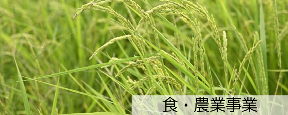 【生産・管理】スマート農業で地域農業の未来を担う｜未経験歓迎｜所定労働時間7.5H | NSGグループ