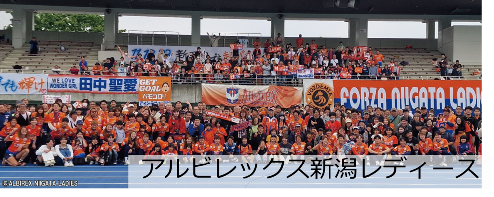 【営業】女子サッカープロリーグ「WEリーグ」クラブ運営｜地域密着クラブ｜社会貢献性◎ | NSGグループ