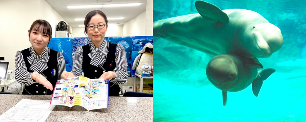 【名古屋港水族館】団体受付スタッフ積極募集中！フルタイム★ | 株式会社コングレ