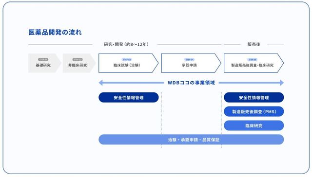 医薬品開発の流れの中で、私たちが行っている仕事です。
