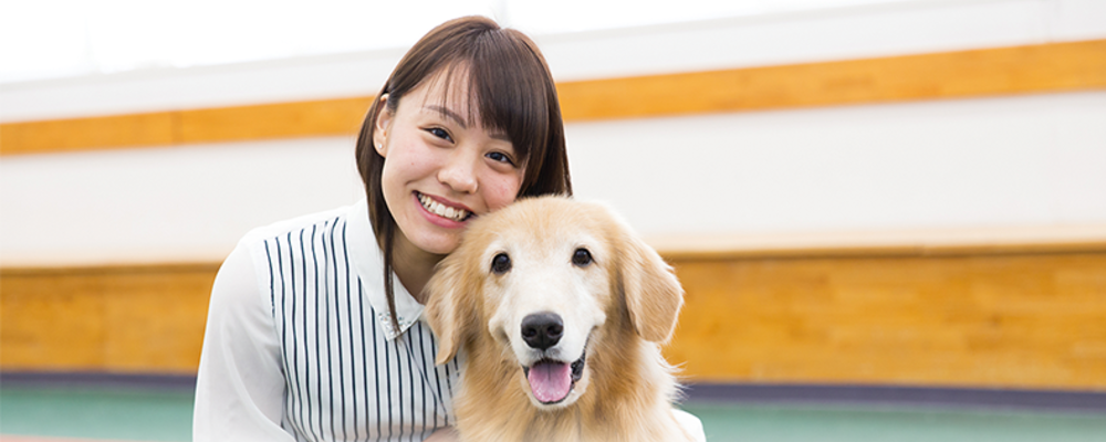 トリミングアシスタント 大阪eco動物海洋専門学校 滋慶学園グループ